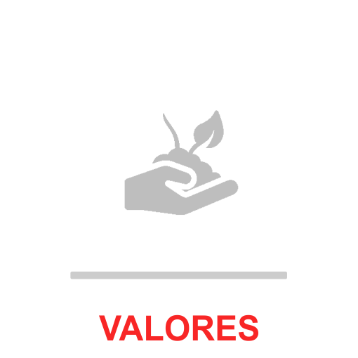 93d434f47db54c429863d3466193b221.png